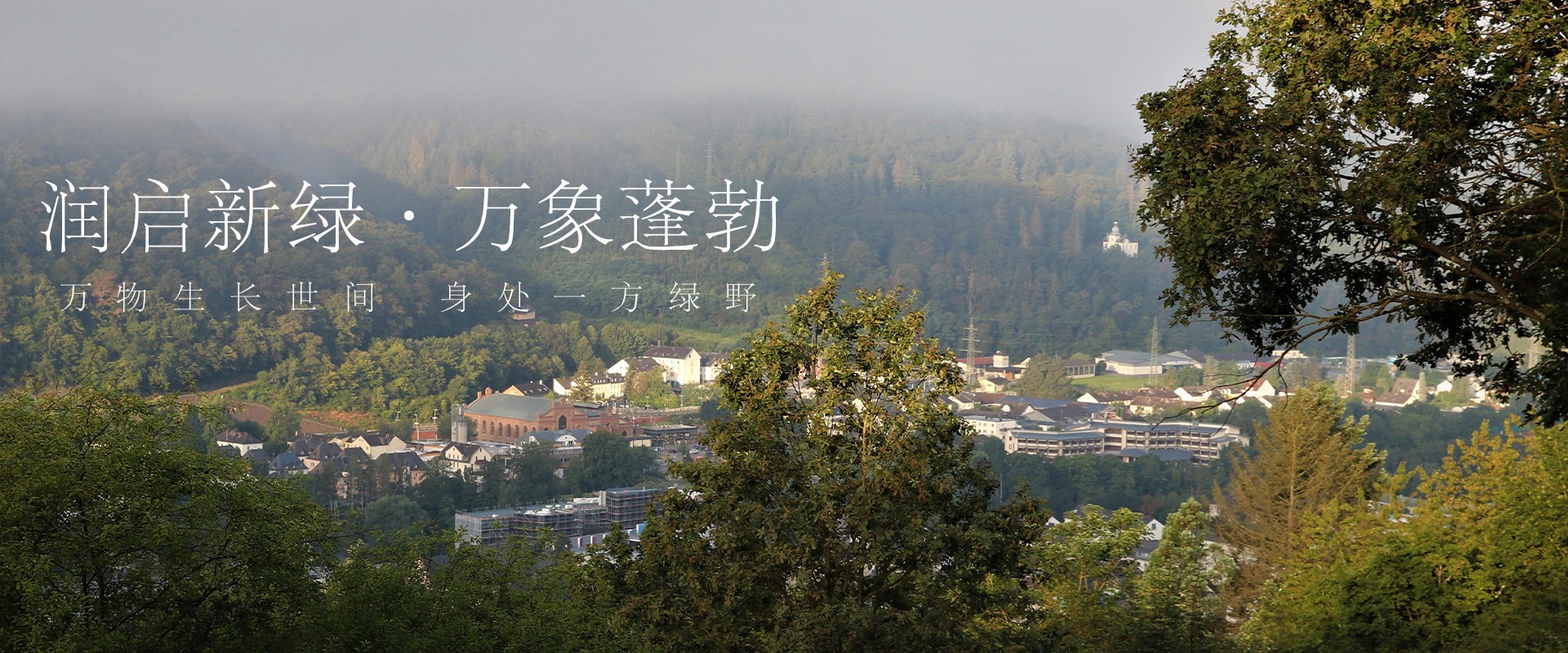 潤啟新綠?萬象蓬勃